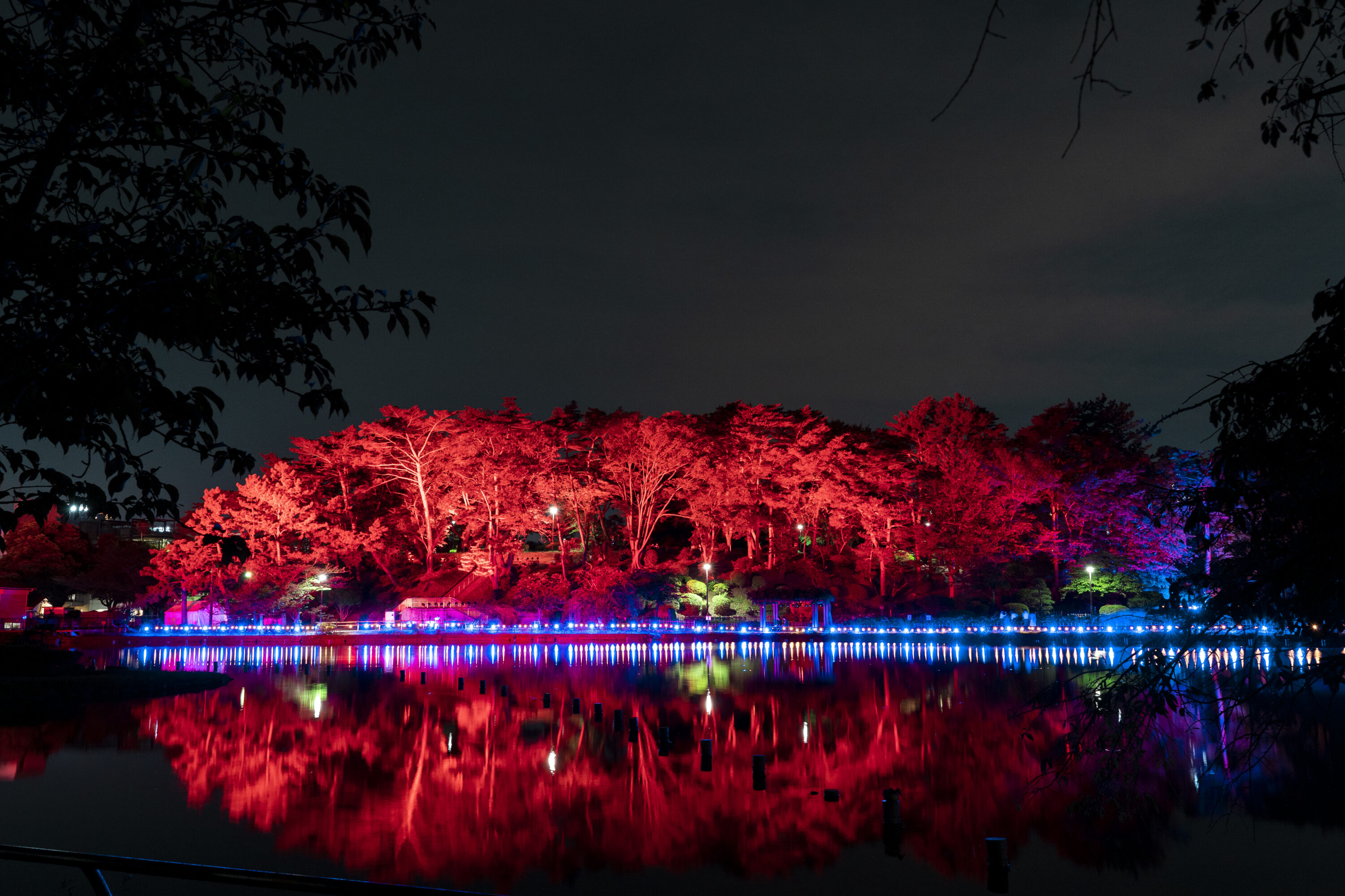 いよいよ本日から2日間にかけてYohaS 2023 本祭が夜の千葉公園で開催♪のイメージ写真